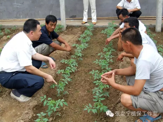 微生物菌劑的使用方法是什么？注意事項(xiàng)有哪些